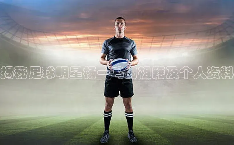 3377体育网页入口赛富乐斯揭秘足球明星杨一鸣的祖籍及个人资料