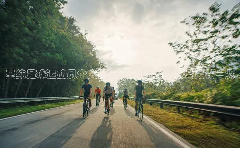 3377体育app官网下载地址字节跳动王纯足球运动员个人简历|职业生涯、荣誉成就一览