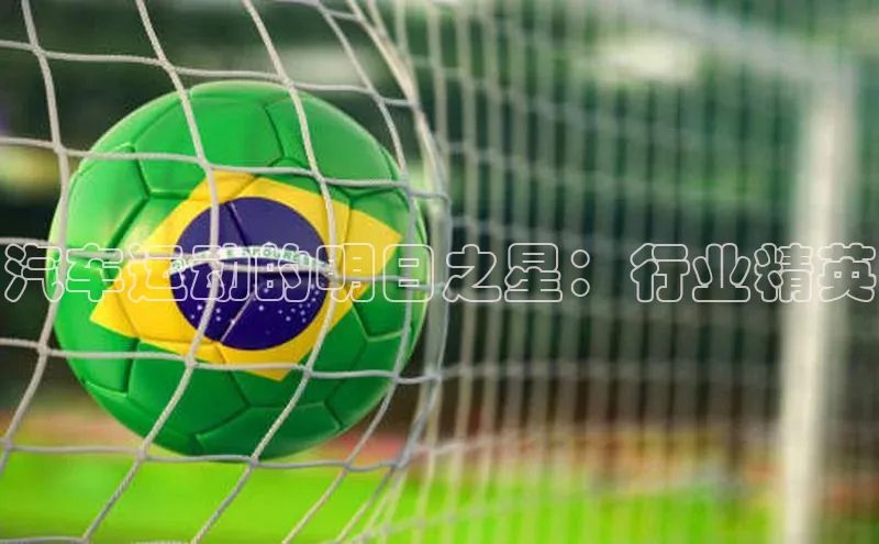 3377体育网站入口下载宣亚国际汽车运动的明日之星：行业精英