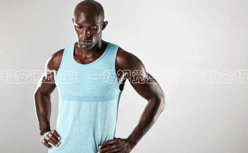 3377体育网站平台登录百度大脑翔安运动馆：一场视觉盛宴的运动会场