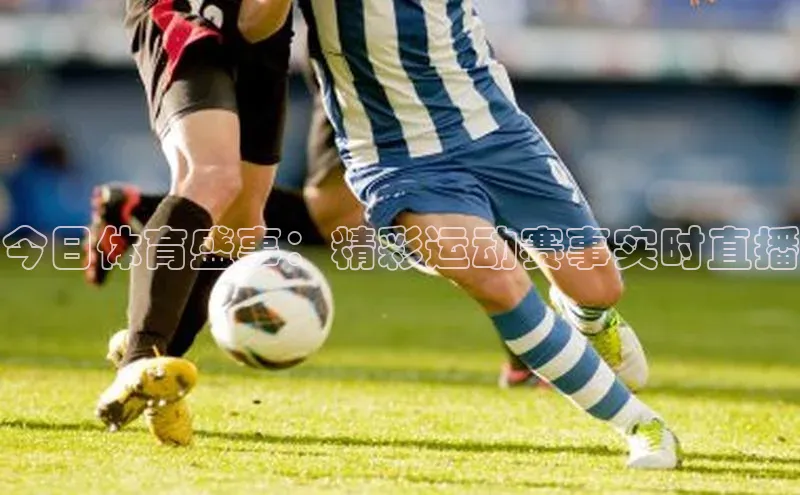 今日体育盛事：精彩运动赛事实时直播