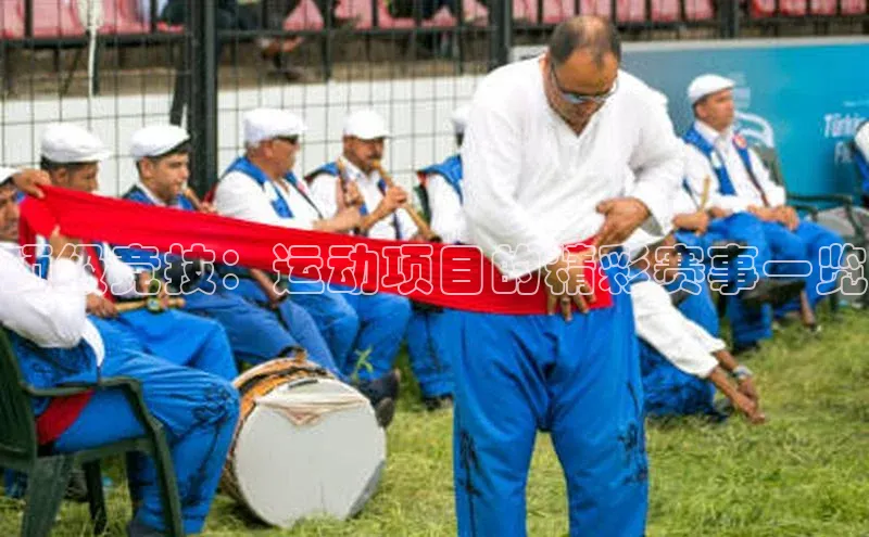 顶级竞技：运动项目的精彩赛事一览