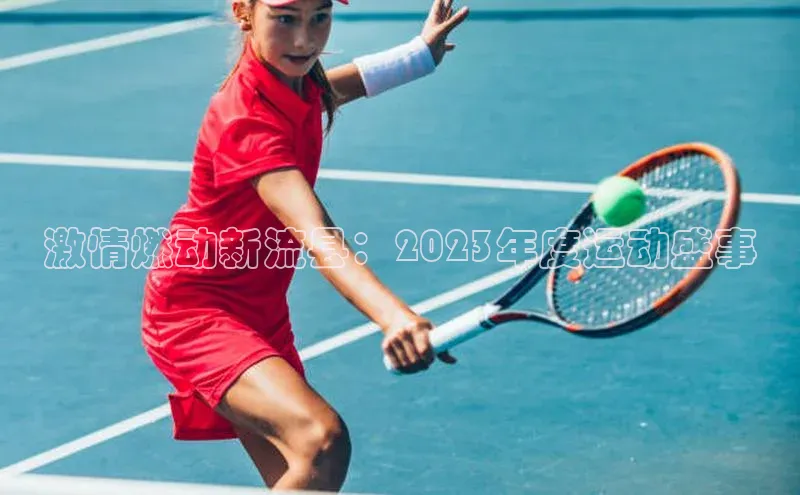 激情燃动新流县：2023年度运动盛事