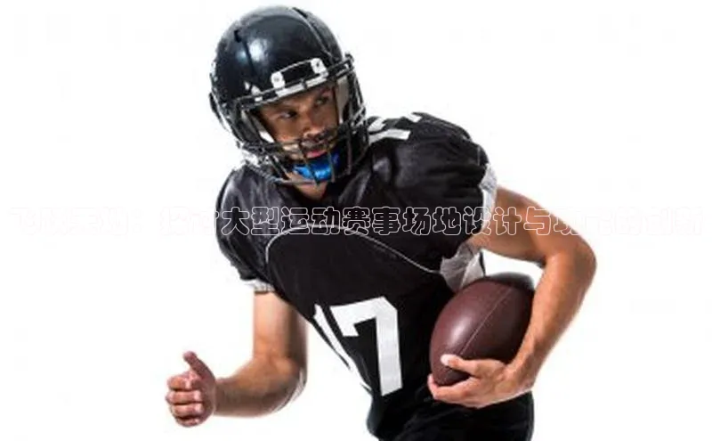 飞跃天地：探讨大型运动赛事场地设计与功能的创新