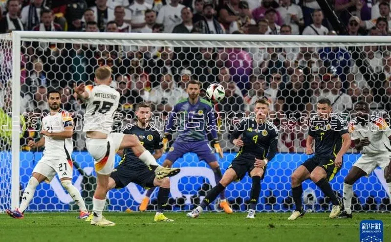 上海运动盛事：规划与期待的未来赛事安排