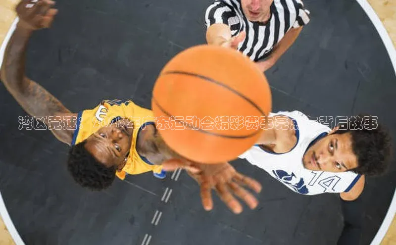 湾区竞速：2023年广东运动会精彩赛事亮点与背后故事