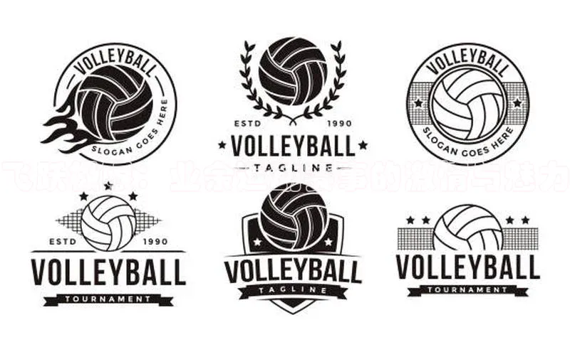 3377体育网站入口下载