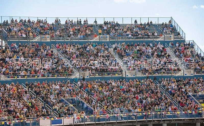 3377体育网站入口下载