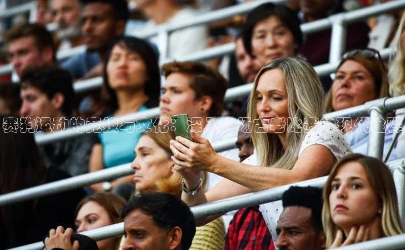 赛狗运动的竞技与文化：深入一场古老比赛的现代诠释