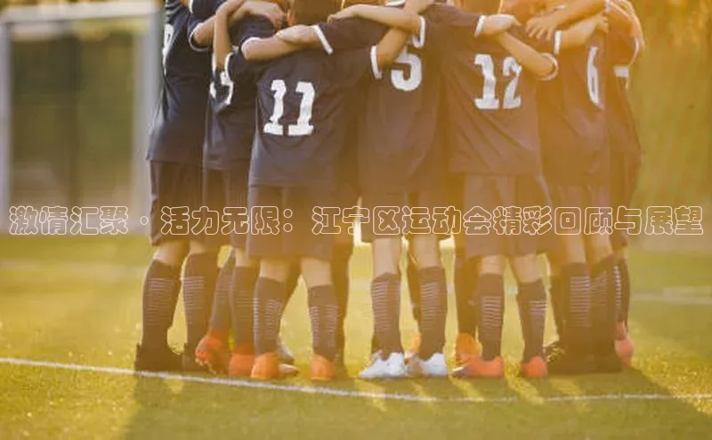 激情汇聚·活力无限：江宁区运动会精彩回顾与展望