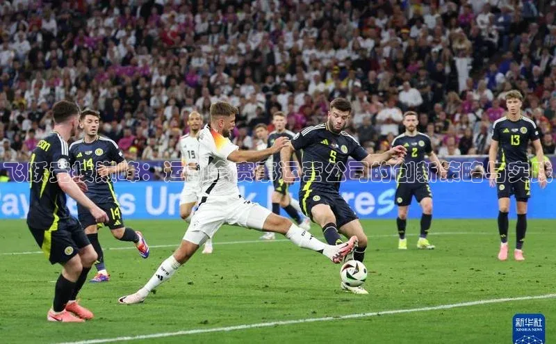 飞跃竞技巅峰：运动会赛事运营公司的创新策略与实践